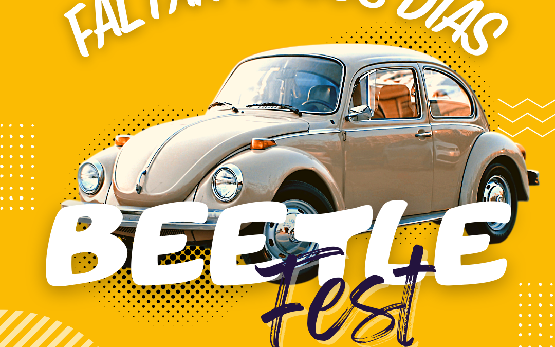 BEETLE FEST 2022